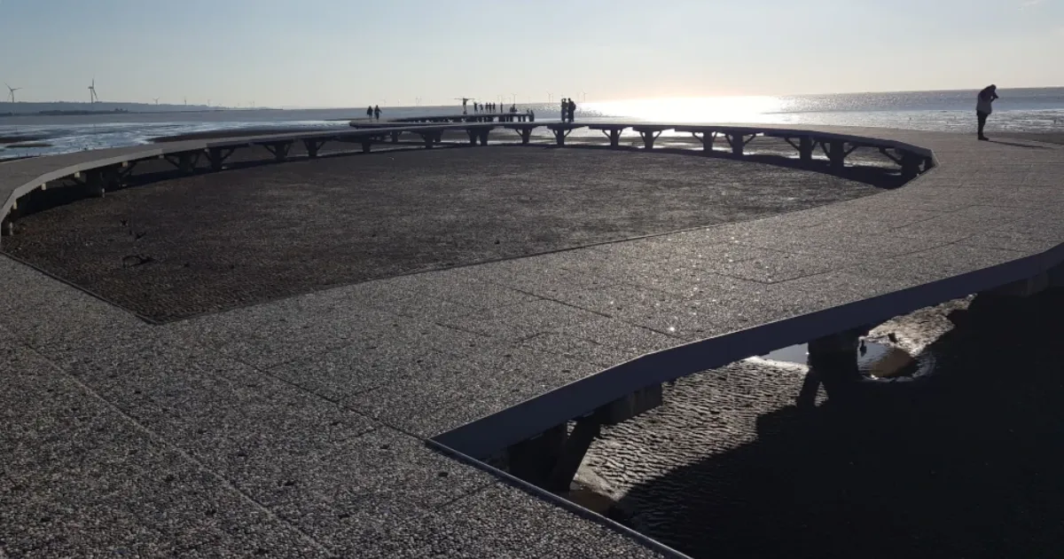 香山濕地寵物公園環境照